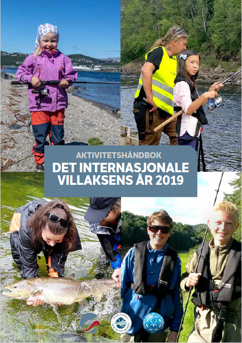 Aktivitetsbrosjyre villaksens år 2019. 