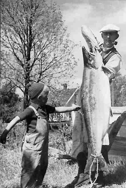 Rekordlaxen fra 1940 her avfotografert fra en litt annen vinkel.Samme dag blir nok en storfisk landet i ”Søndre Distrikt”. Per Georg Jensen skriver bl.a. i sin fiskejournal: ”Rasmussen og Hoff tok èn samme dag på Skråstadfjorden, 23 kg. Så det var ikke smågutter som gikk opp den dag.”