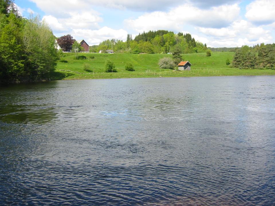 Holmegård m enkel hytte
