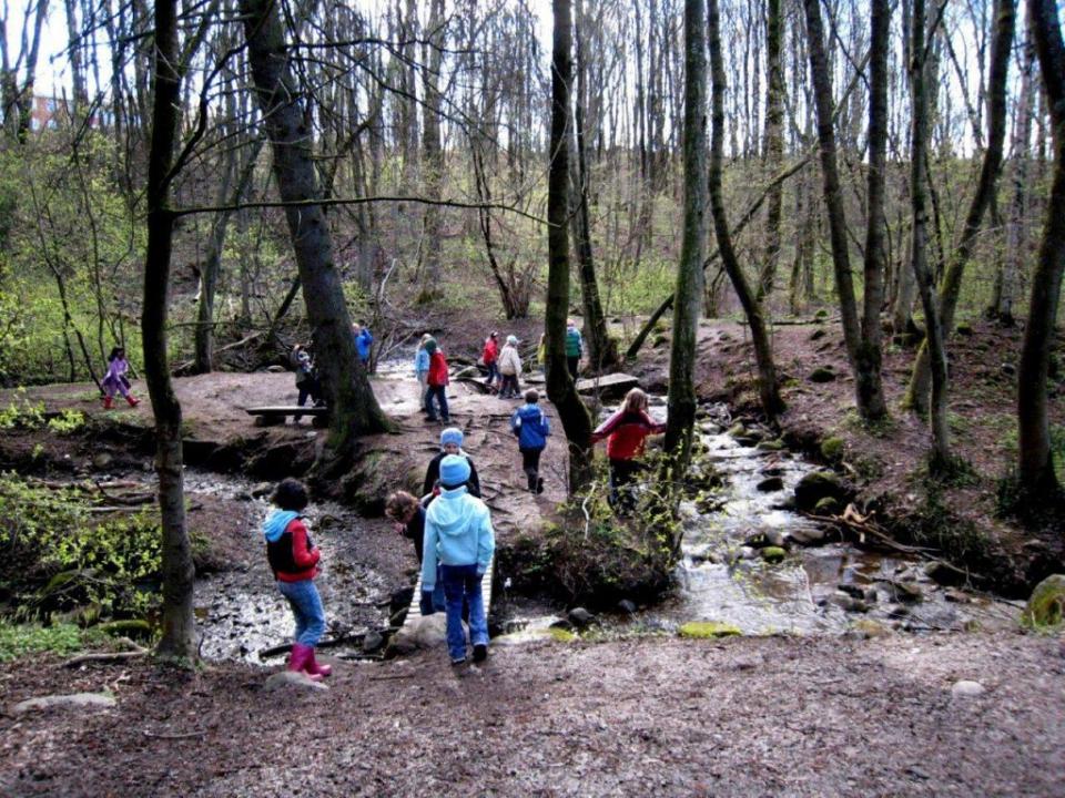 Årvoll skole har adoptert Hovinbekken. Her er det mye aktivitet. Foto: Årvoll Skole