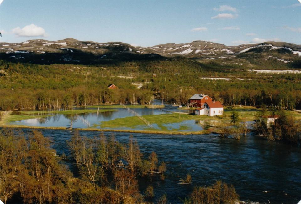 Dette bildet er tatt ved veis ende på Klemetstad, og utløpet av Bergkulpen er helt til høyre i bildet (Foto: Jan Emil Heimdal).