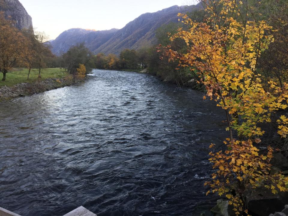 Abalsneshølen oppstrøms (sone 1)