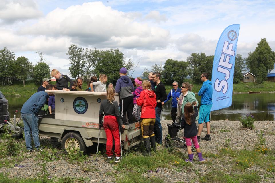 Ivrige unger beskuer laksen i karet
