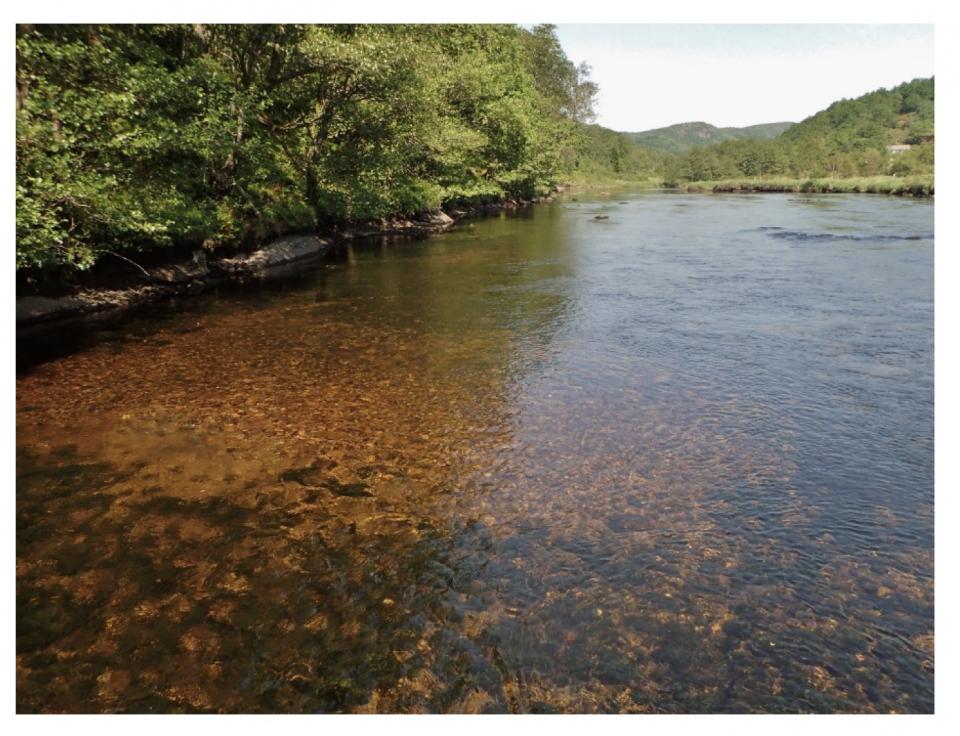 Gyteområder i Sokno