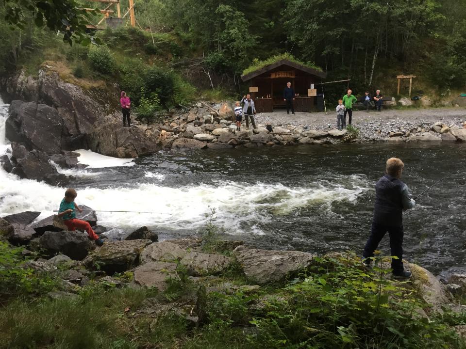 Villaksens dag før første gang i Aureelva. Her var det voldsomt engasjement, og de lokale arrangørene melder tilbake om over 100 besøkende denne dagen. En av grunnene til det gode oppmøtet var nok at den fredete fossen ble åpnet for fiske for barna denne dagen. Og fiske ble det, 2 laks! Foto Jan Melseth