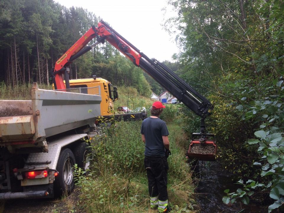 Utlegging av gytegrus i Kjeksebekken