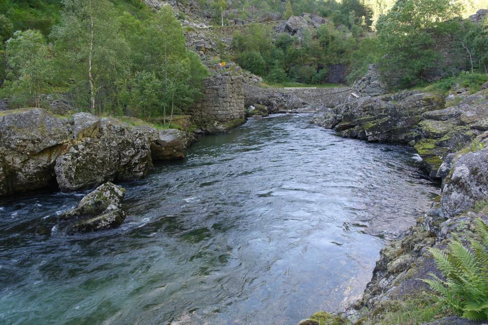 Foto: Bjarne Nedrehegg