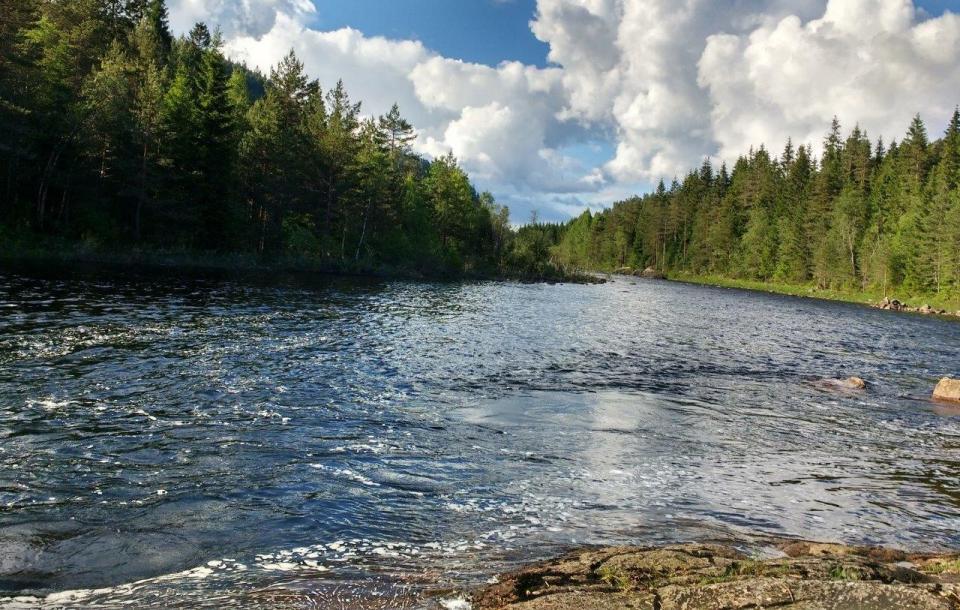 Midtre del av sone Laksehylen