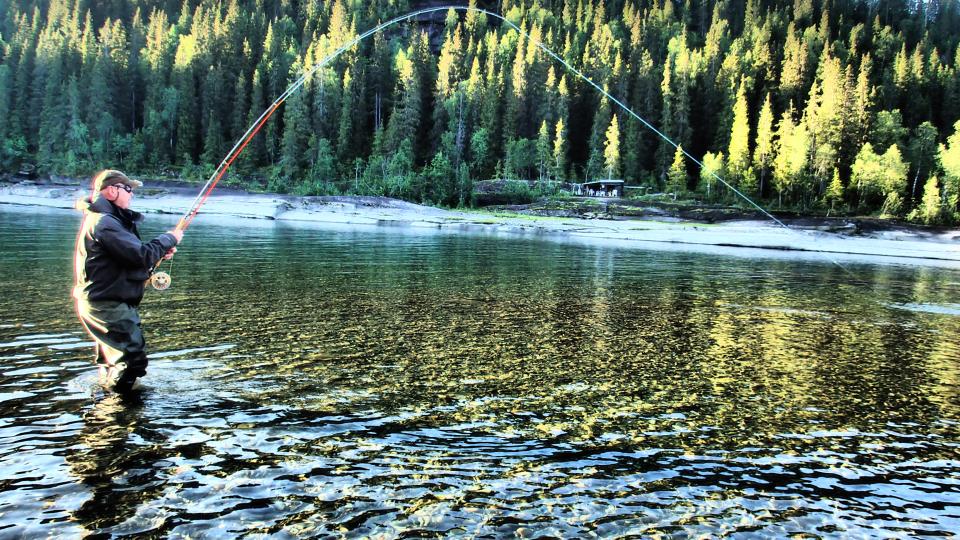 Her kjøres laksen på Øvre Meforsen