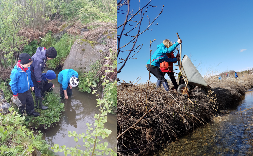 Praktisk arbeid i elva: søppelrydding og grusing