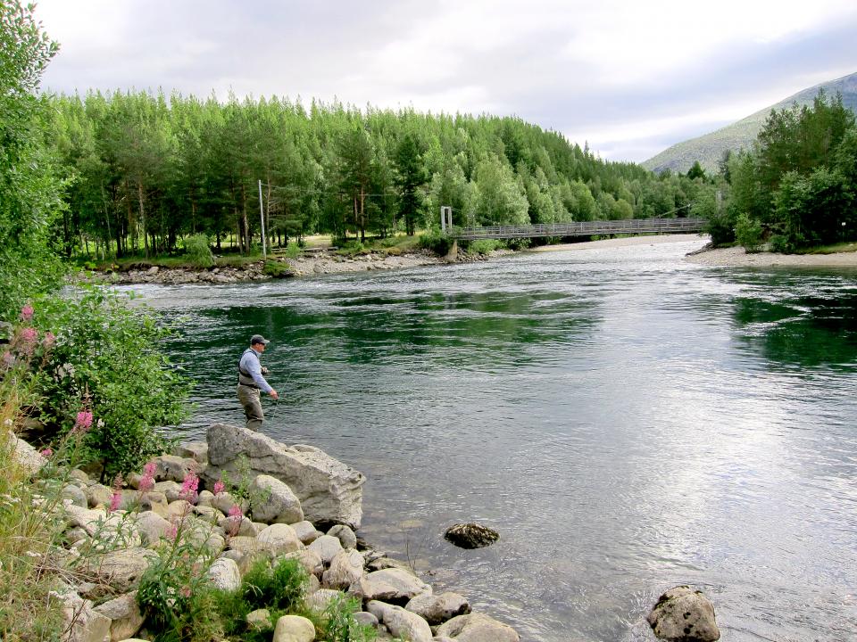 Saltdalselva i Nordland.