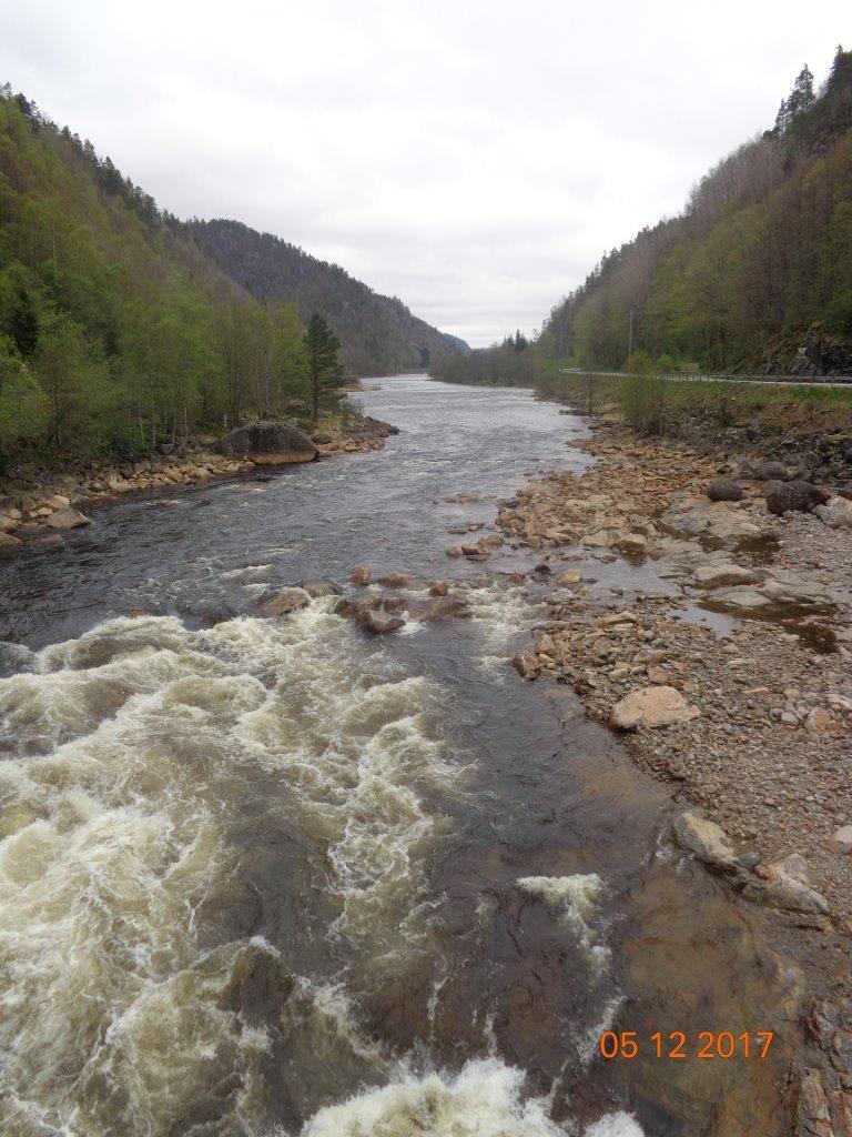 Nedre deler av sone Steinshylen