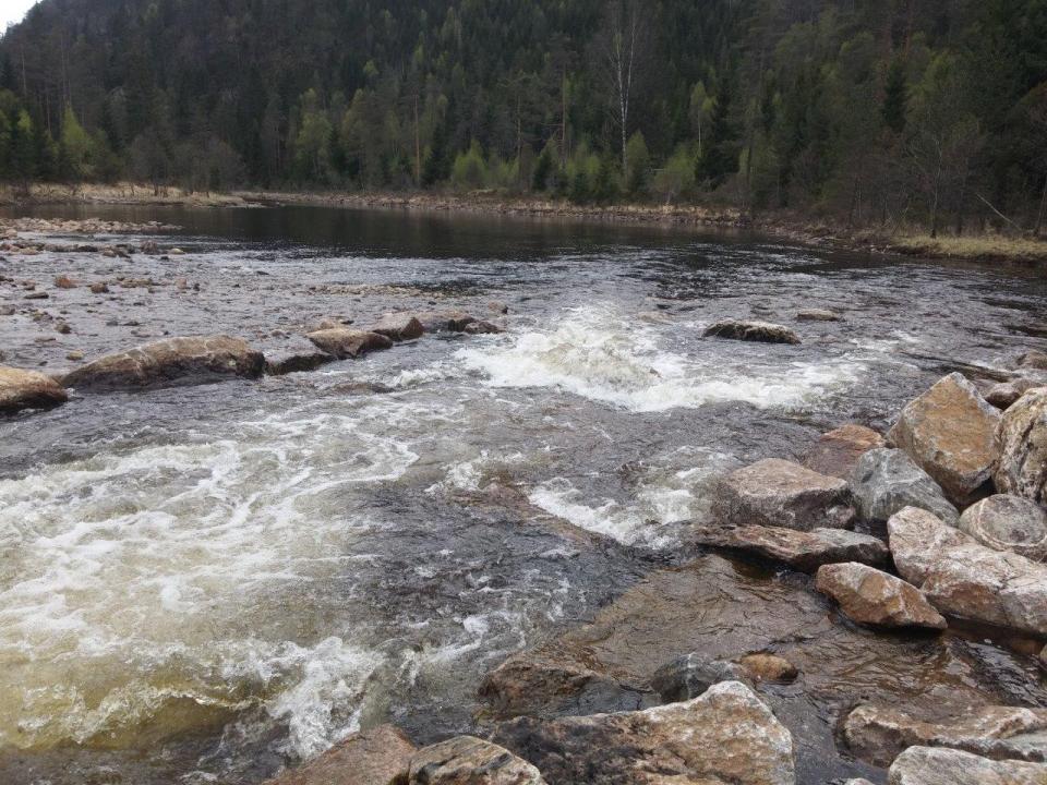 Midtre del av Strædethylen