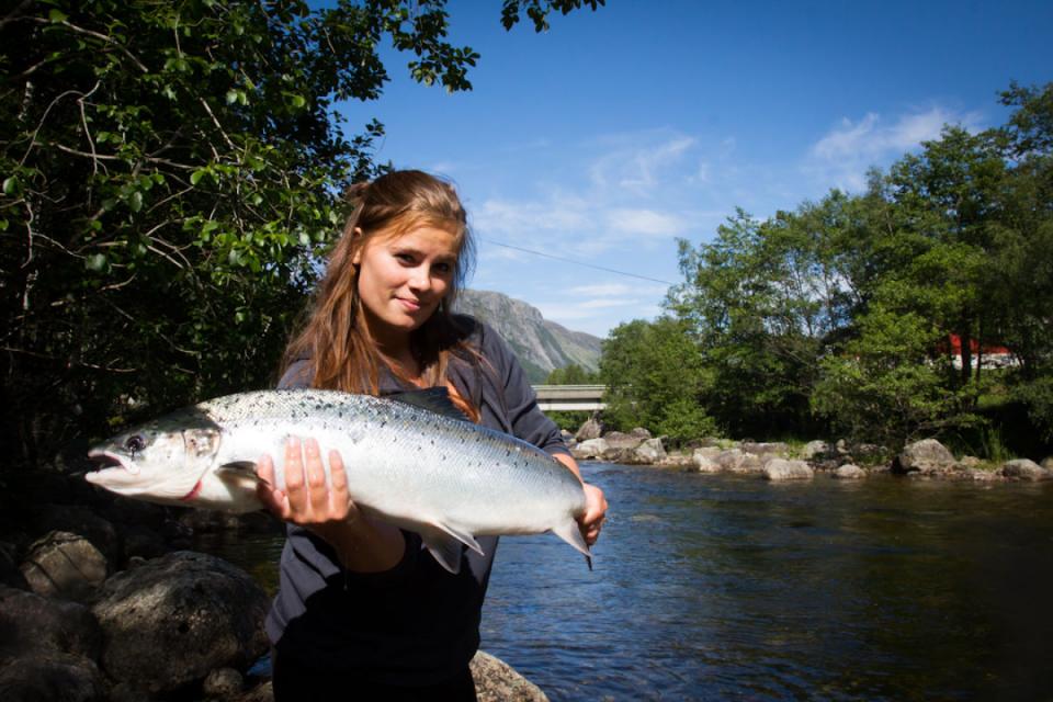 Flott sølvblank Årdalslaks! 