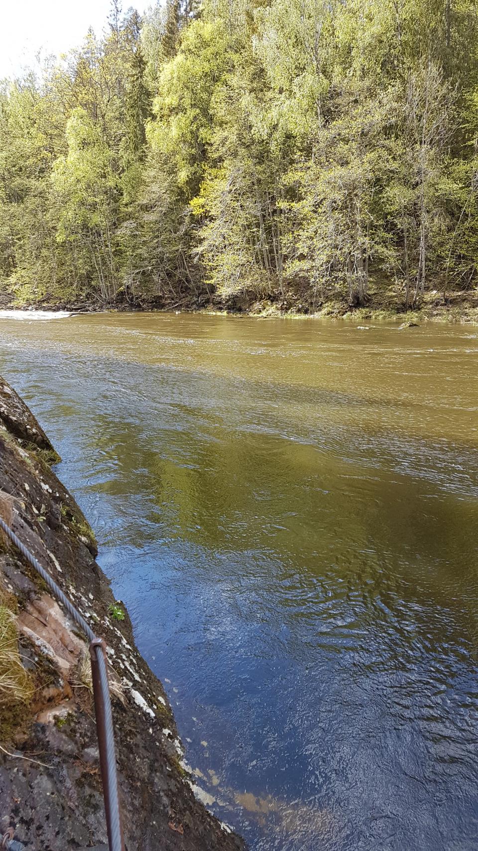 Glomma Aagaardselva Wiren brekket