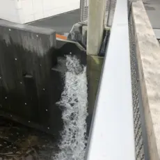 Smoltrenne i Lundeelva