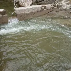 Målselva laksetrapp