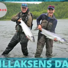 Villaksens dag
