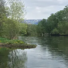 Fortsatt fiske etter midtsesongevaluering