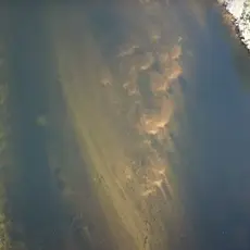 Gytegroper Øvre Strai 2020