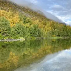 Bjørnekulpen september