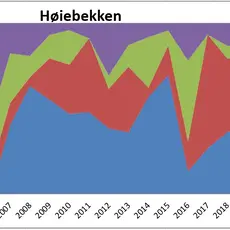 Høiebekken er den klart viktigste sidebekken i Otra, ca 80% laks.