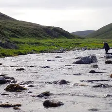 Storelva og laksefiske