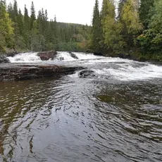 Håkaliforsen, som danner grense for oppgang av laks og sjøørret til delene av vassdraget som ligger ovenfor.