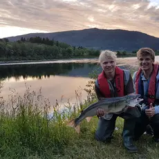 Namsen_fangst_laks_jan arild landstad