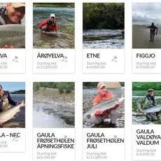 Villaksauksjonen 2021