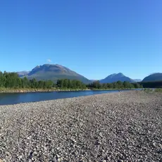 Laksefiske Målselva
