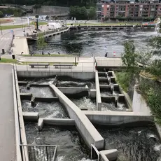Skienselva_laksetrapp.jpg
