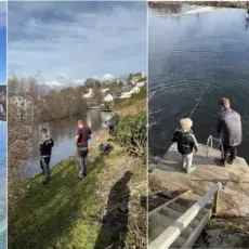 Utvisking av stuinger