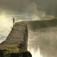 Dam og vandringshindre