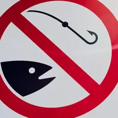 Fiskeforbud