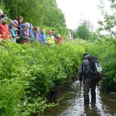 El-fiske i bekk på Hegra