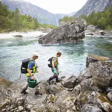 Behandling mot Gyrodactylus salaris med Rotenon