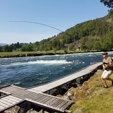 Salmon! at Aaroy River