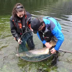 Laks på 16 kilo i Bolstadelva