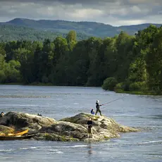 Landskjæret Drammenselva