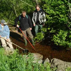 El fiske i landsbekken, 