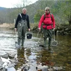 Elektrofiske i Granvinselva