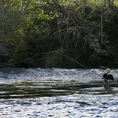 Fluefiske i sone 22 i Etnelva i 2009.