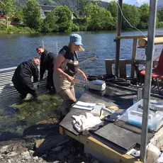 Uttak i fello 9. Juni 16, over 30 fisk kom gjennom i dag... :) 