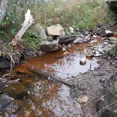 Avrenning fra jordbruk.