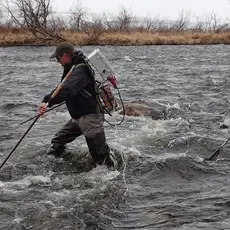 Her er Gunnar Jensås, Knut Andreas Bækkelie (NINA), og Roar Nikolaisen (BJFF) på smoltfangst i flomstor og iskald Kongsfjordelv.