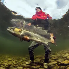 Elektronisk merket støing