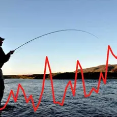 Dette er fangst og beskatning av Kongsfjordlaksen