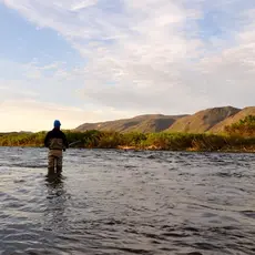 Kongsfjrdelva, rettigheter