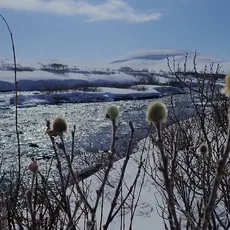 Kongsfjordelva i mai
